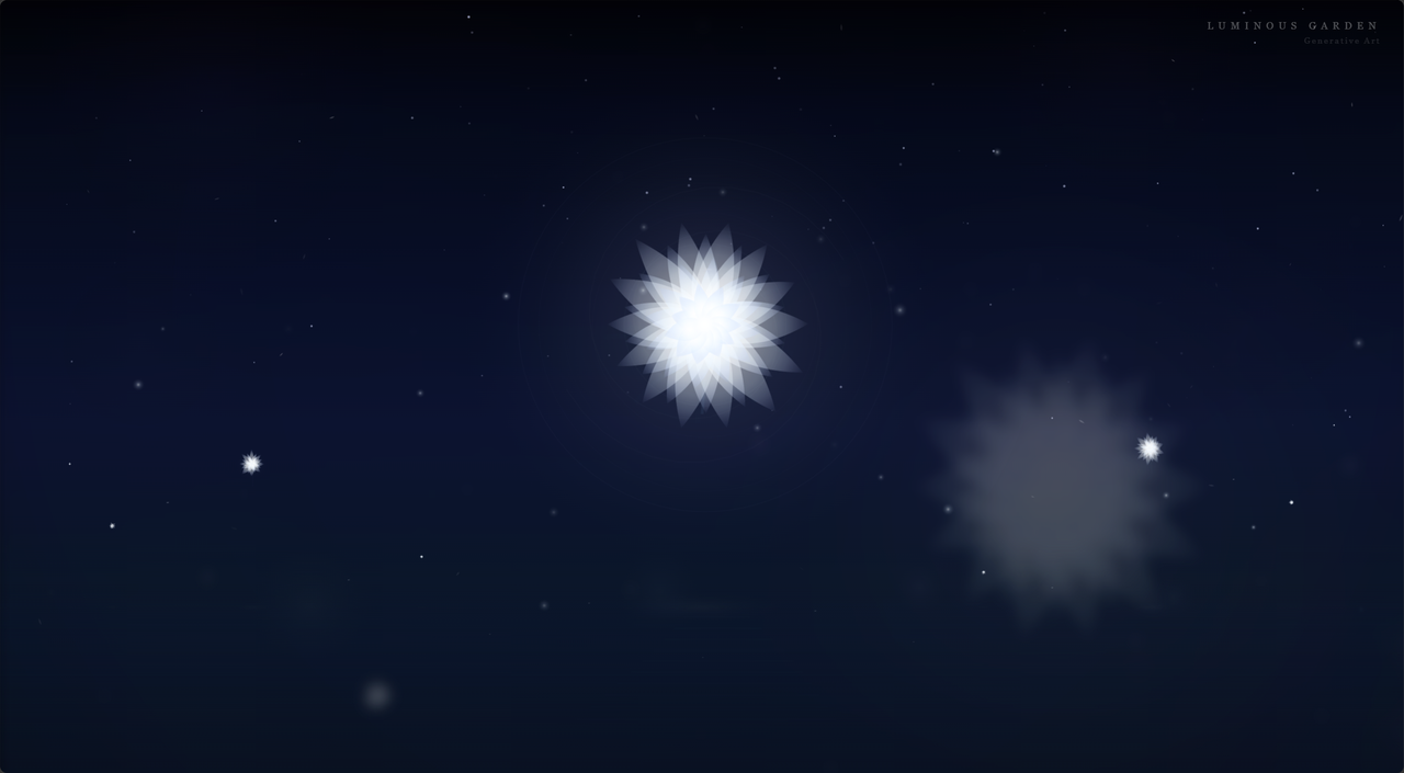 星空发光花朵